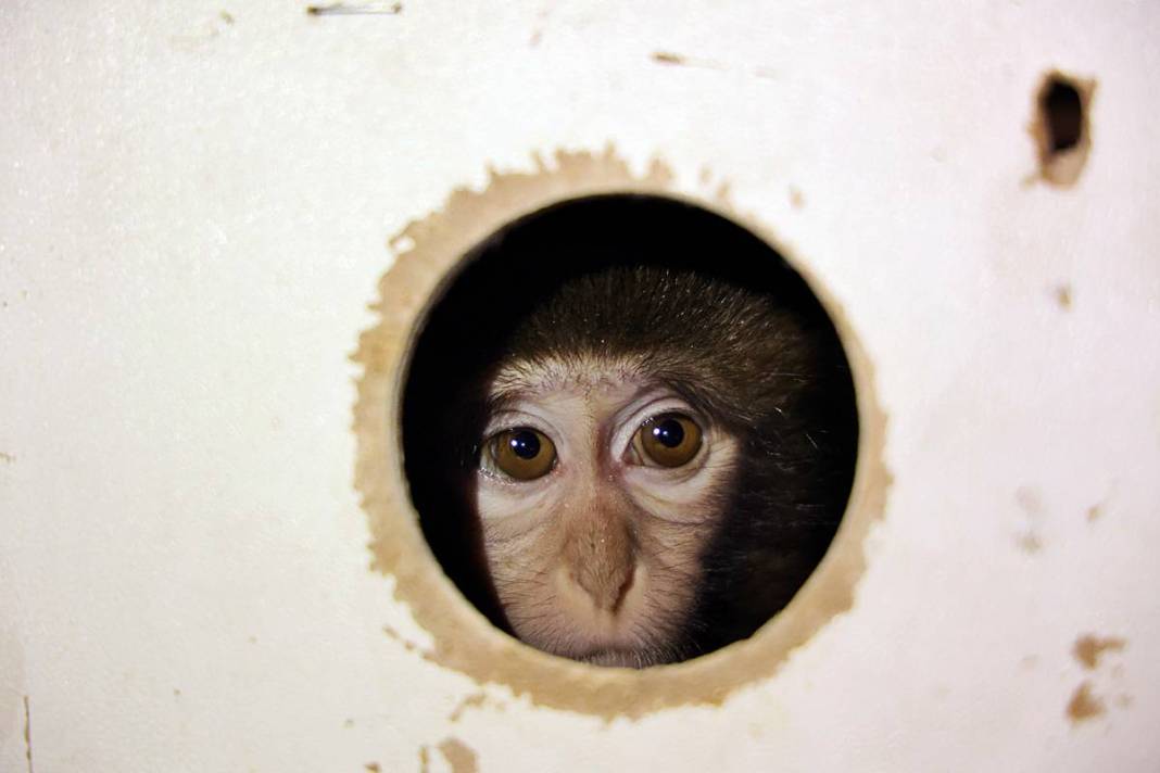 Otobüsle gönderilen koliyi kimse almayınca şoke eden gerçek ortaya çıktı! Hiç kimse bu kadar absürtlüğü tahmin edemezdi 2